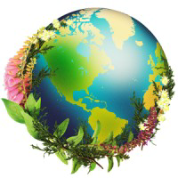 Chrysalis Natural Medicine Clinic - Logo