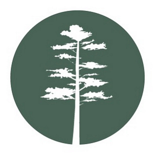 DDK Forestry & Real Estate - Logo