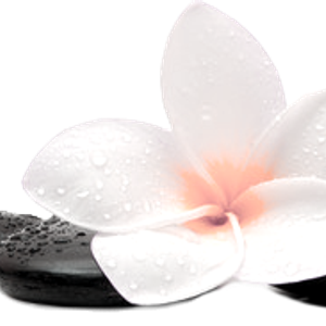 Reflexology of Carson City - Logo
