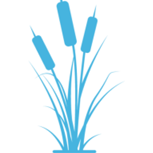 Magnolia Kitchens and Baths - Logo
