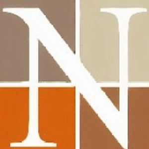 The Nielsen Group - Logo