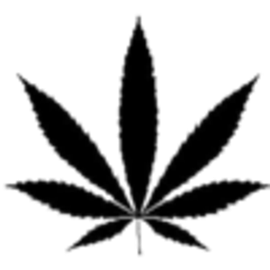 It's Not Weed - Logo