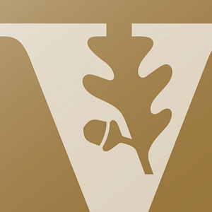 Vanderbilt Health Walk-In Clinic Hendersonville