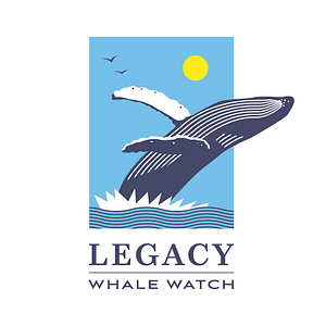 Legacy Whale Watch - Whale watching tour agency in San Diego