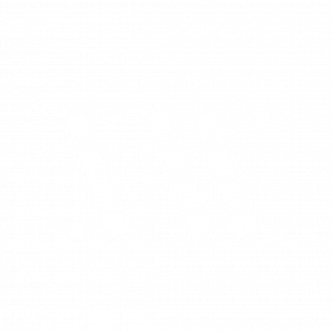 Synergistiq Wellness - Logo