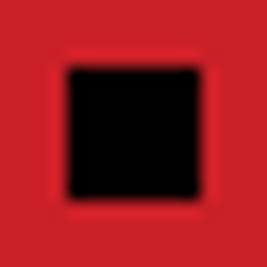 Flash Photo and Video. Wedding Photographers. - Logo