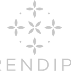 Serendipity Yacht Charter - Logo