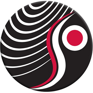 Security 101 - Charlotte - Logo