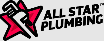All-Star Plumbing of the Triad, Inc. - Logo