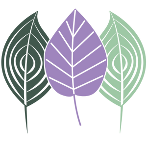 Aesthetica Medical Spa - Logo