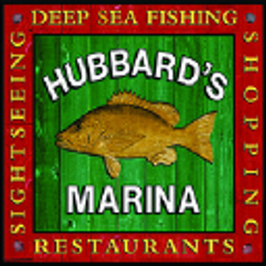 Hubbards Marina Dolphin Watching Tour - Logo