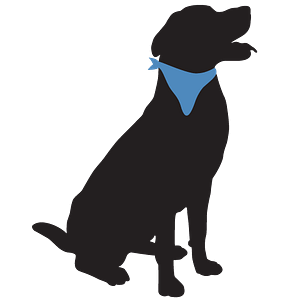 Stay! at Bar K Powered by Kennelwood Pet Resorts - Logo