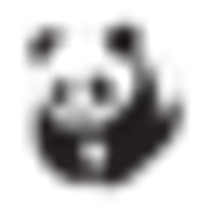Panda Roofing LLC - Logo