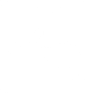 Squeaky Dan's Window Cleaning San Antonio - Logo