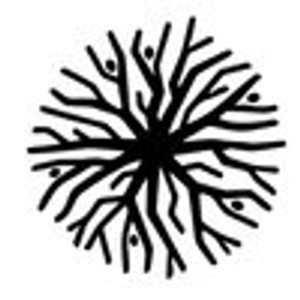 Brilliant Soma - Brookline - Logo
