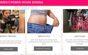 Women's Power House Boxing - Logo