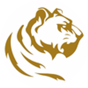 Brad Young TigerTown Home Improvement - Logo