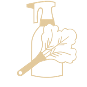 Colorado House Cleaning