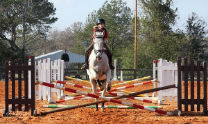 Centerline Riding Academy - Logo
