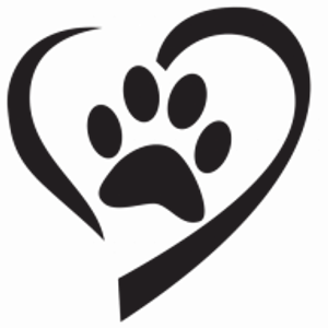 Park Animal Hospital Inc