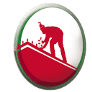 Christmas Light Installer - Logo