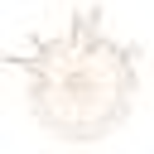Arbor Meadows Event and Wedding Decor Rentals LLC. - Logo