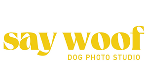 Say Cheese - Logo