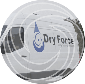 Dry Force Water Removal Specialists - Logo