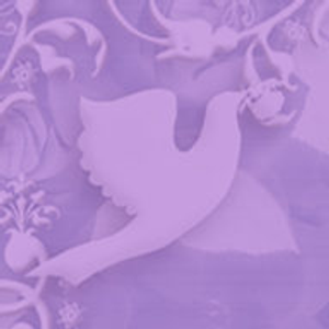 Ann McKenzie-Wedding Officiant- Raleigh - Logo