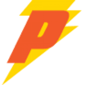 Performance Electric Inc