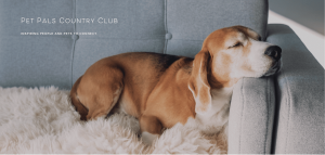 Pet Pals Country Club - Logo