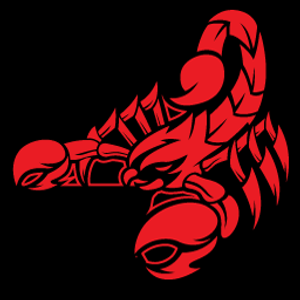 Hail Stinger - Auto dent removal service in Plano
