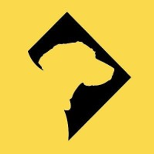 District Dogs Clarendon - Logo