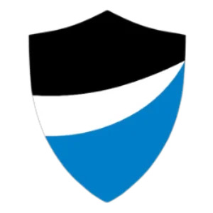 Pro Guard Auto Glass - Logo