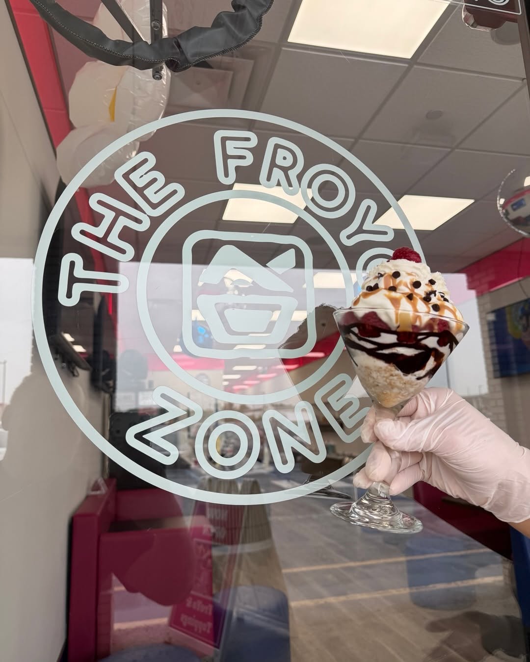 The FroYo Zone, LLC - Business Photo