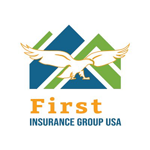First Insurance Group USA - Logo