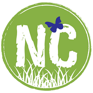 New Creations Child Care & Learning Center | West Des Moines (EP True) - Logo