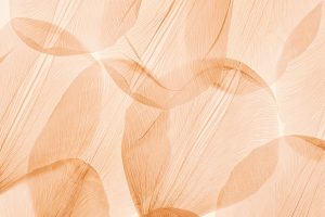 Pure Heart Healing - Reiki therapist in Portland