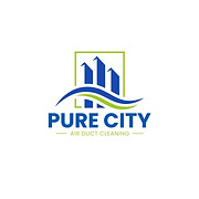 PURE CITY Chimney Sweeping Service