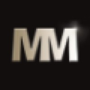 Law Office of Michael Mirer, P.A. - Logo