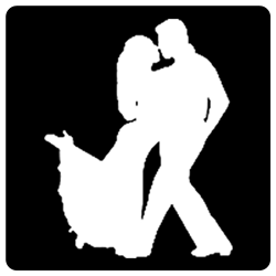 Ballroom Dance Lessons In Virginia – Ballroom Boutique Dance Studios - Logo