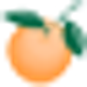 Orange County Consumer Fraud - Logo