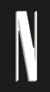 Hair Noir - Logo