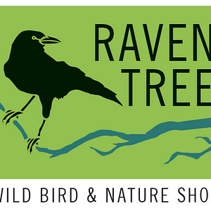 Raven Tree