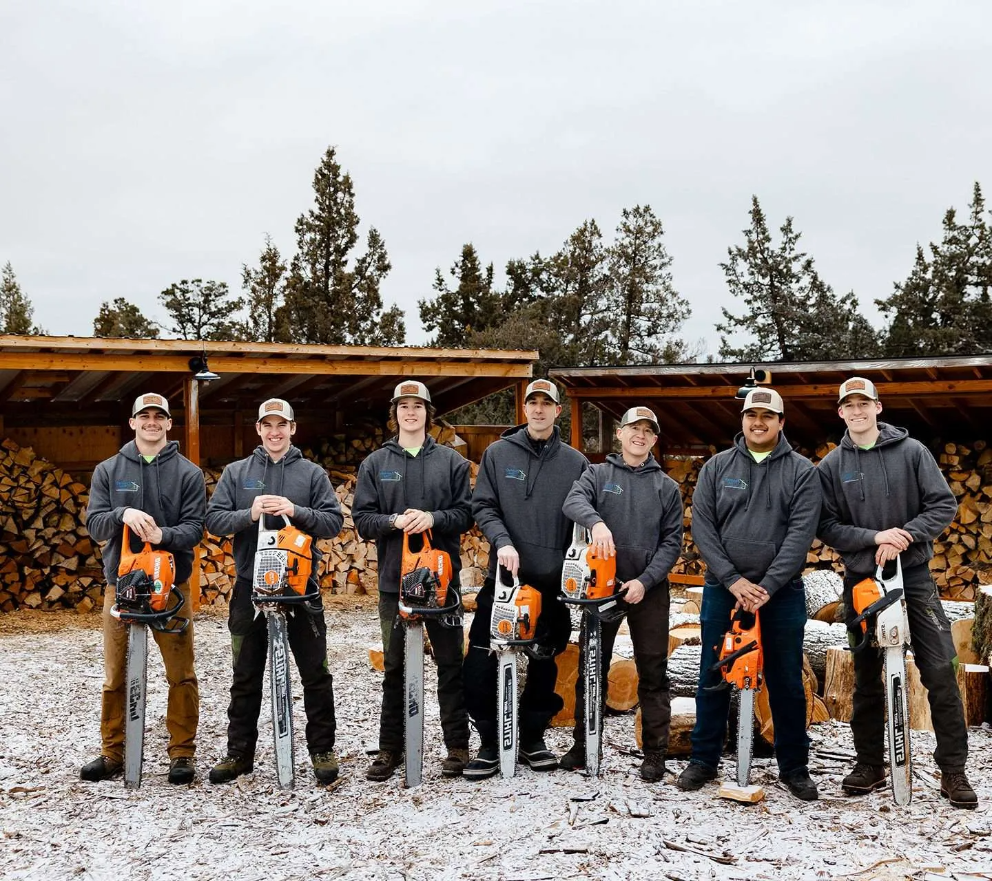 Prevish Tree Service - Business Photo
