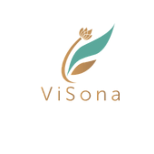 ViSona LLC - Logo