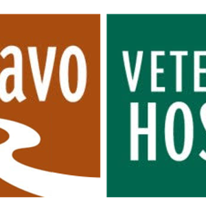 Rio Bravo Veterinary Hospital - Logo