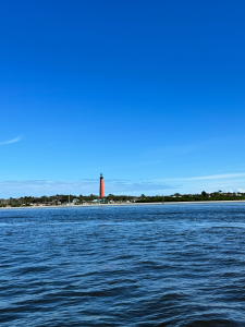 Birds and Boards Fishing Charters