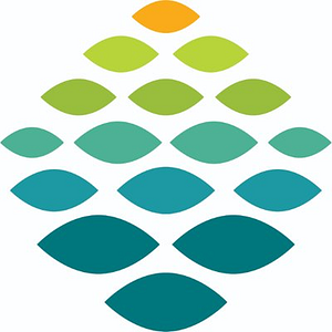 Northern Light Adult Behavioral Health - Logo