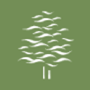 The Villages at Brunswick Forest - Logo